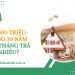 Vay 500 triệu trong 30 năm mỗi tháng trả bao nhiêu?