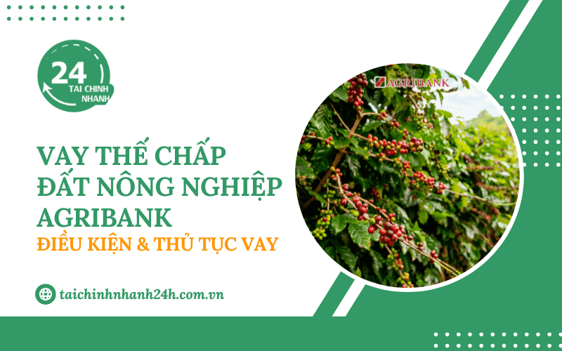 Vay thế chấp đất nông nghiệp Agribank: Điều kiện & Thủ tục vay